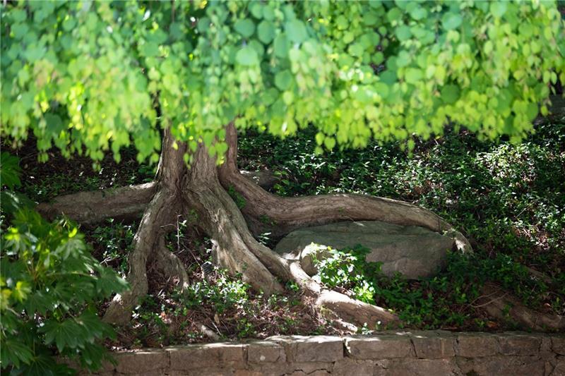 4615 Northside Drive Northwest Atlanta, GA 30327 - Photo 66 of 69 a view of a garden with a bench
