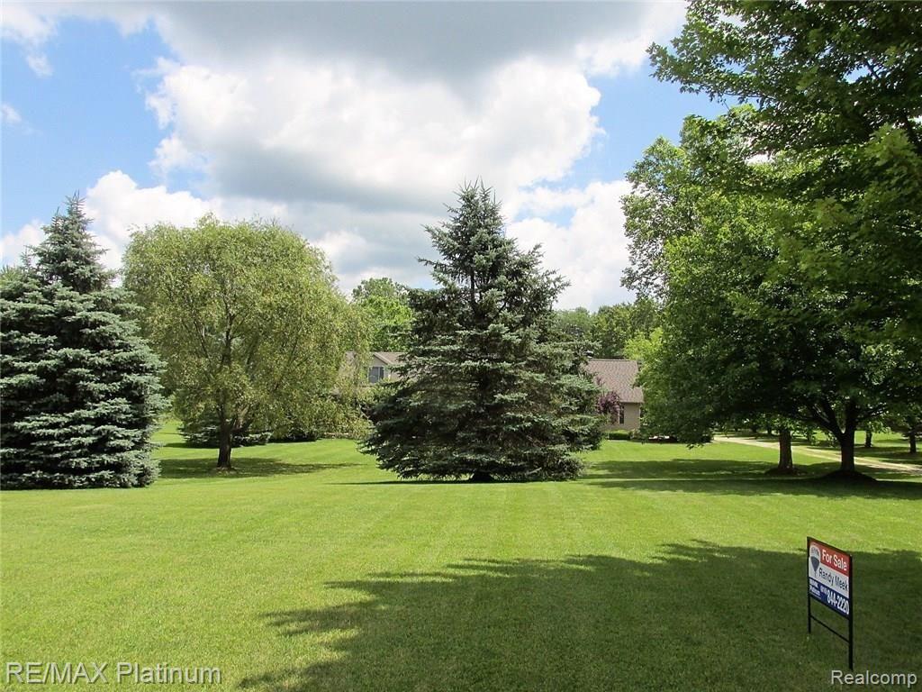 3215 Rafferty Drive Howell, MI 48843 - Photo 53 of 53 IMG_2545.JPG