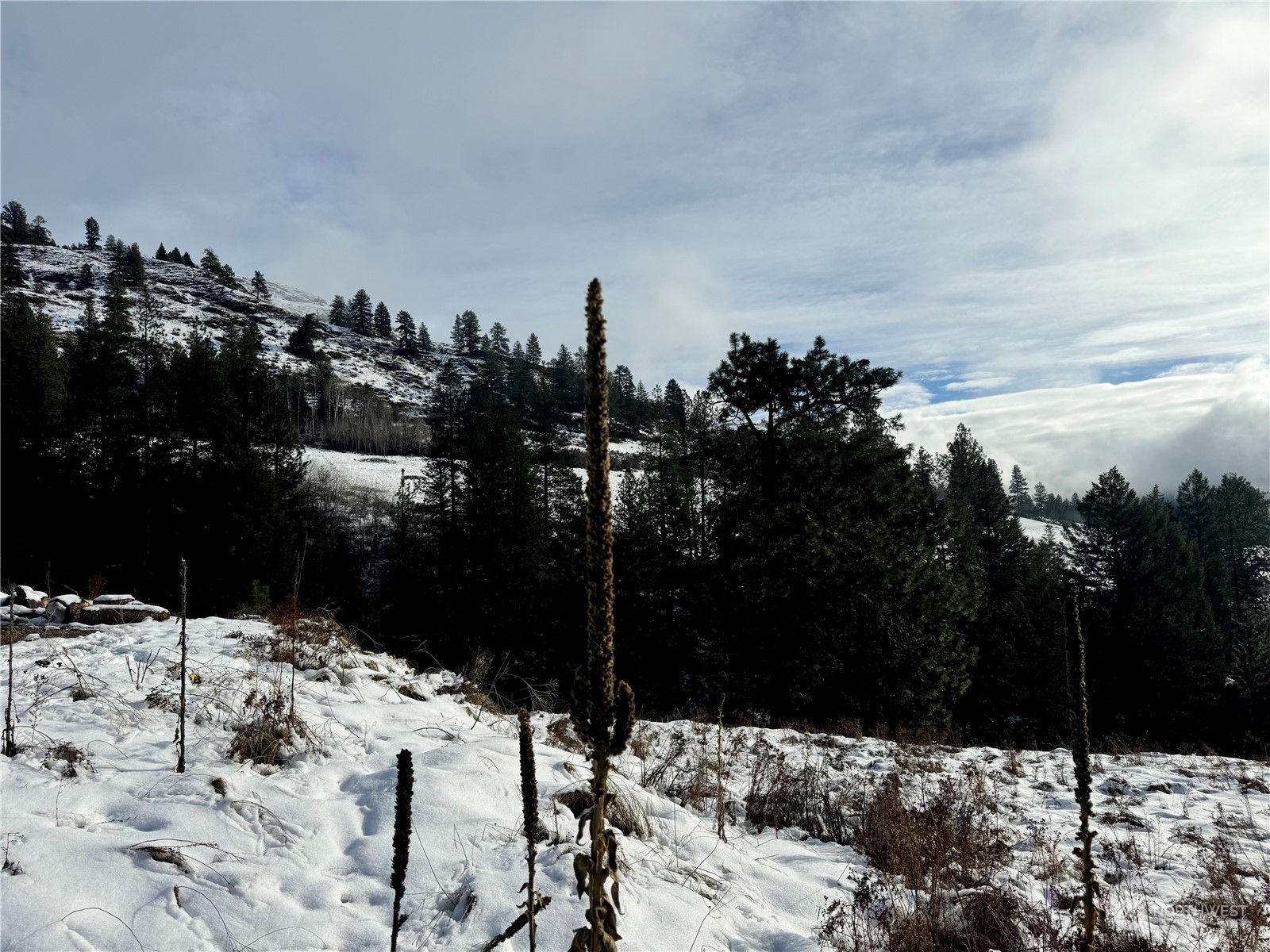 44 Robin Road Republic, WA 99166 - Photo 15 of 29 Gallery Image 15
