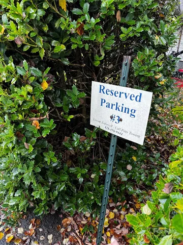 a view of a house with a tree
