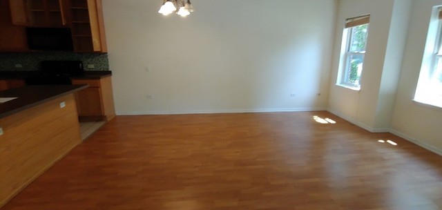 948 West 15th Place, Unit 1B Chicago, IL 60608 - Photo 4 of 10