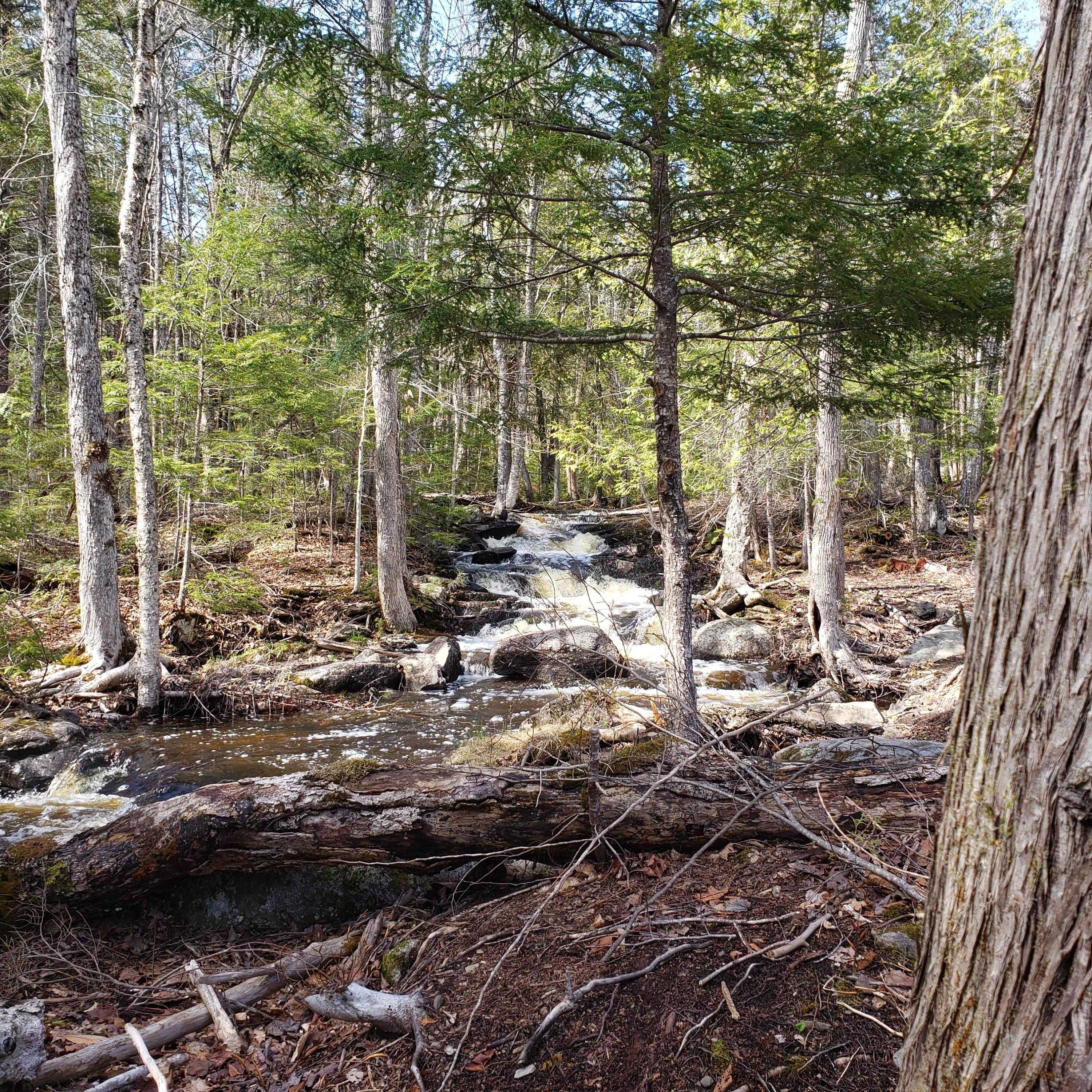 0 South Road Lincoln, ME 04457 - Photo 22 of 75 20210501_152656