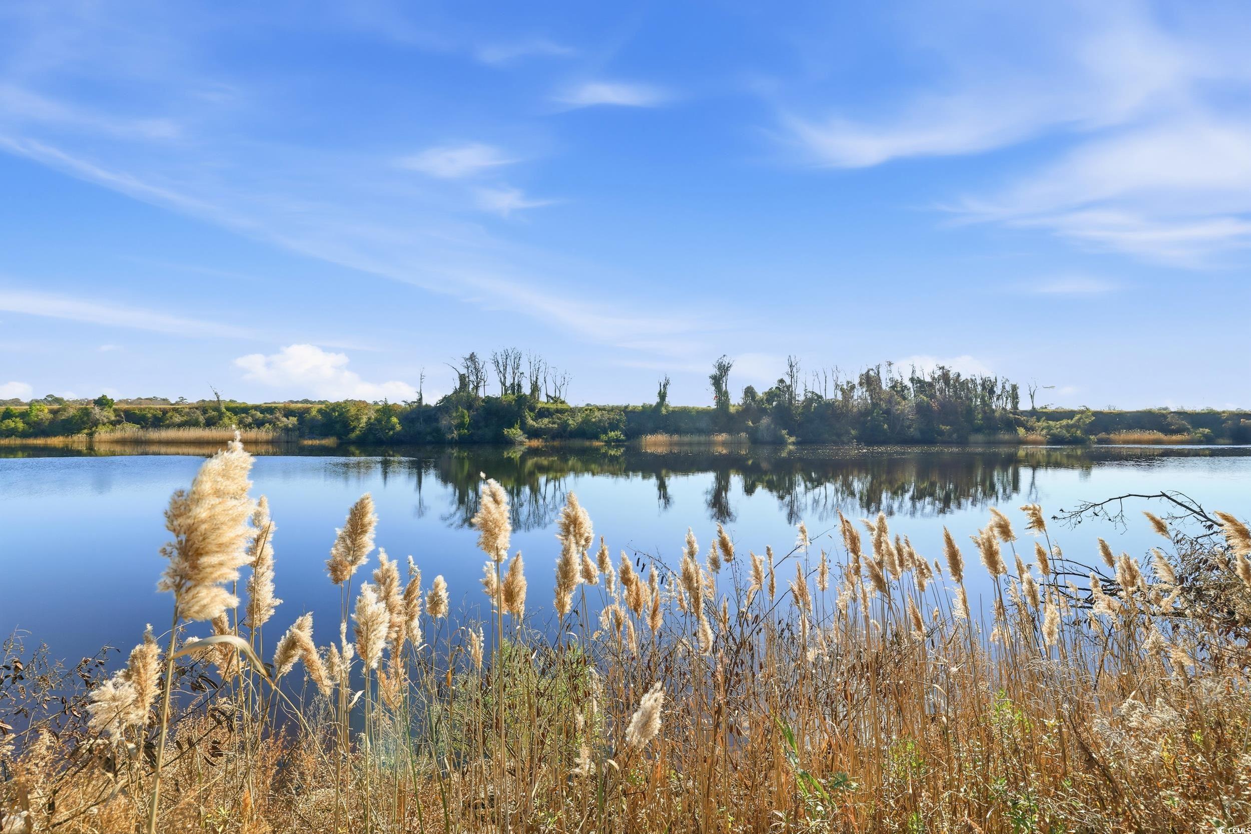 280 Bay Rdg Drive North Myrtle Beach, SC 29582 - Photo 8 of 38 Water view