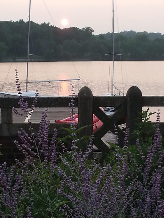 131 Dunster Road Boston, MA 02130 - Photo 12 of 13 a view of a ocean from a balcony