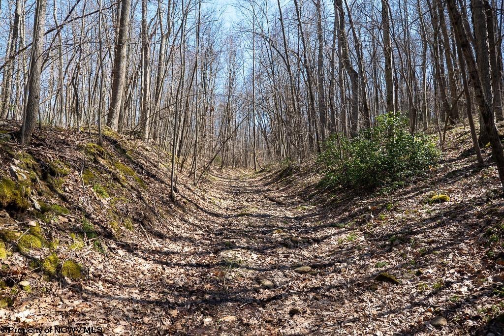 Lot 1 Fairfax Mine Road Reedsville, WV 26547 - Photo 9 of 49 Gallery Image 9