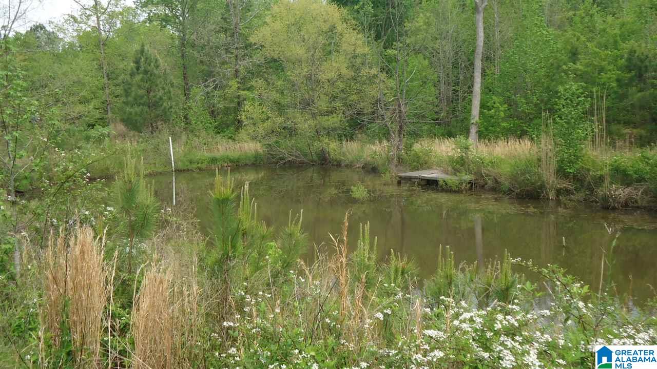 0 Mudd Street Ohatchee, AL 36271 - Photo 13 of 20