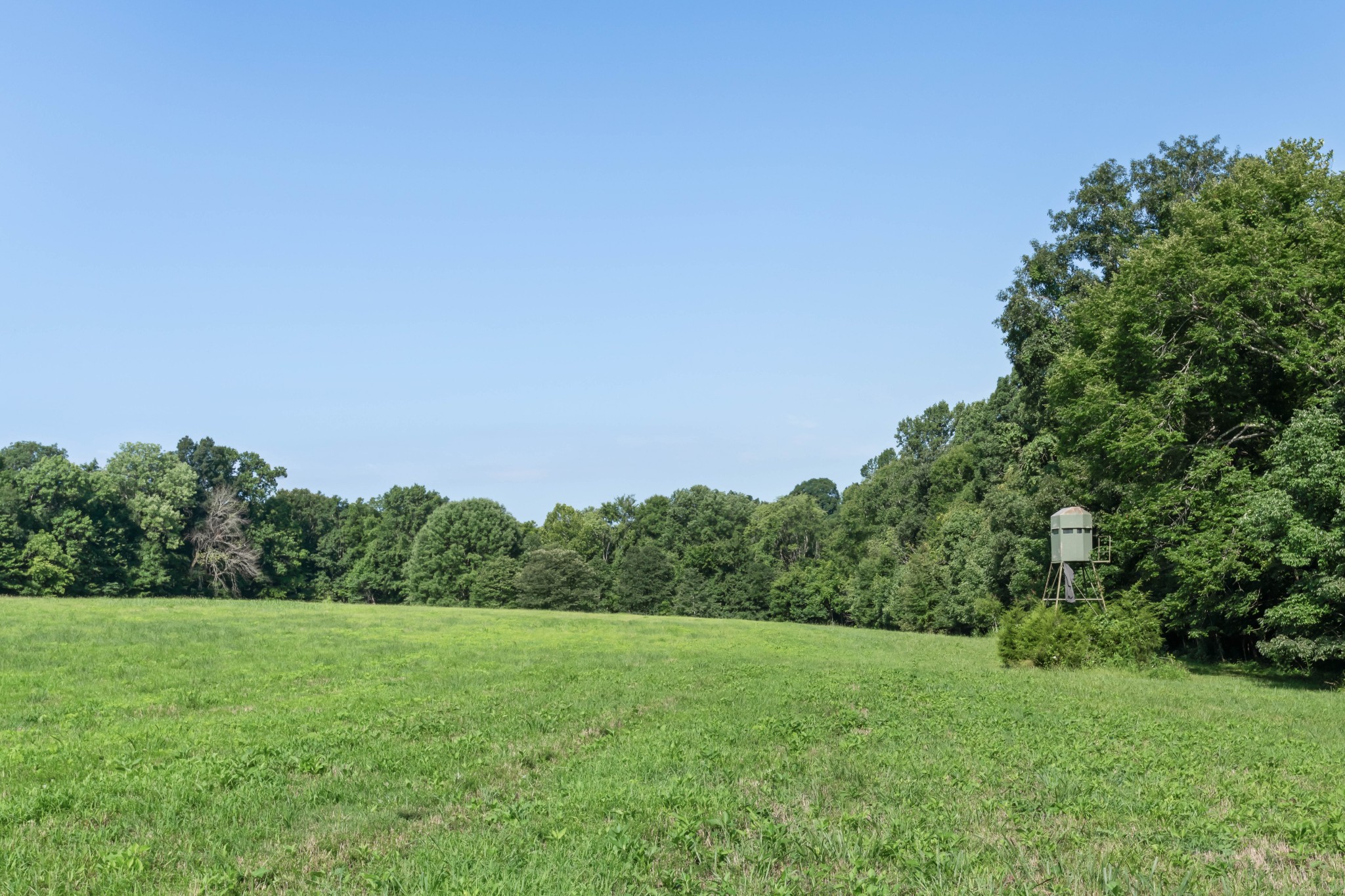 1025 Choate Road Dickson, TN 37055 - Photo 89 of 100