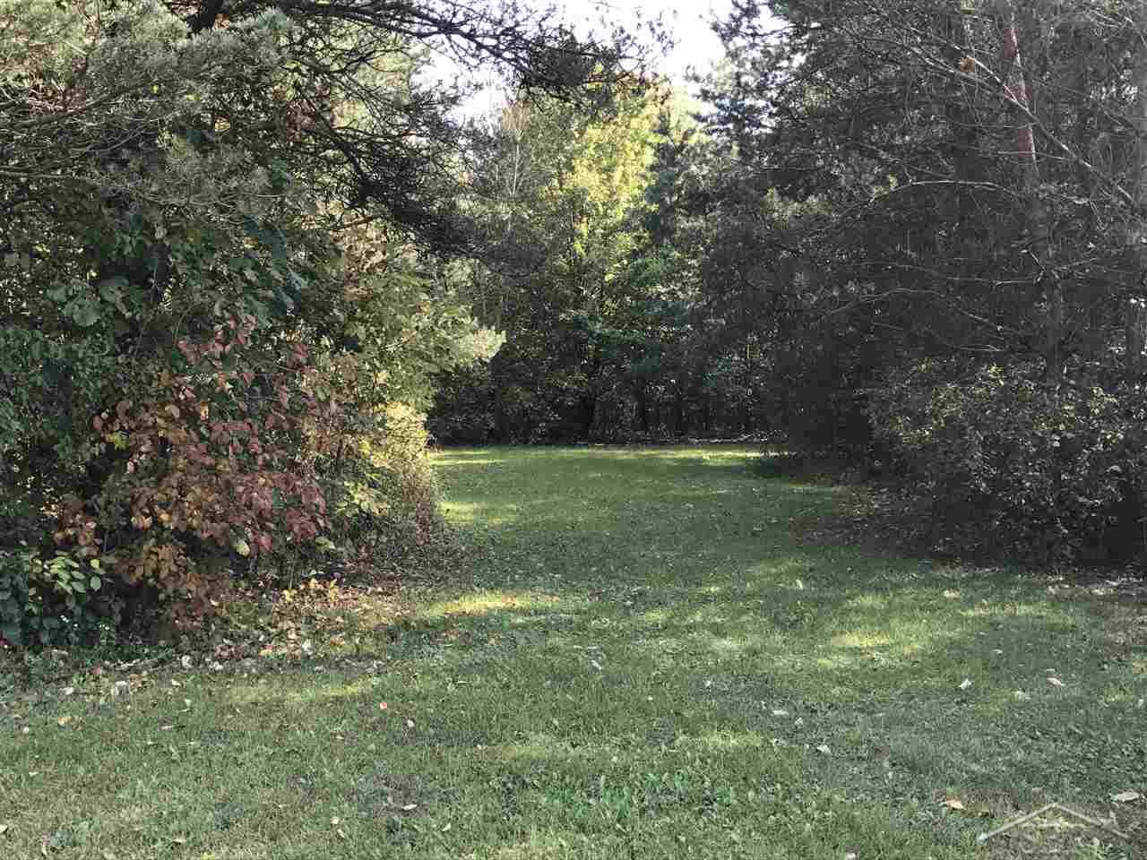 Cleared Trails through Wo