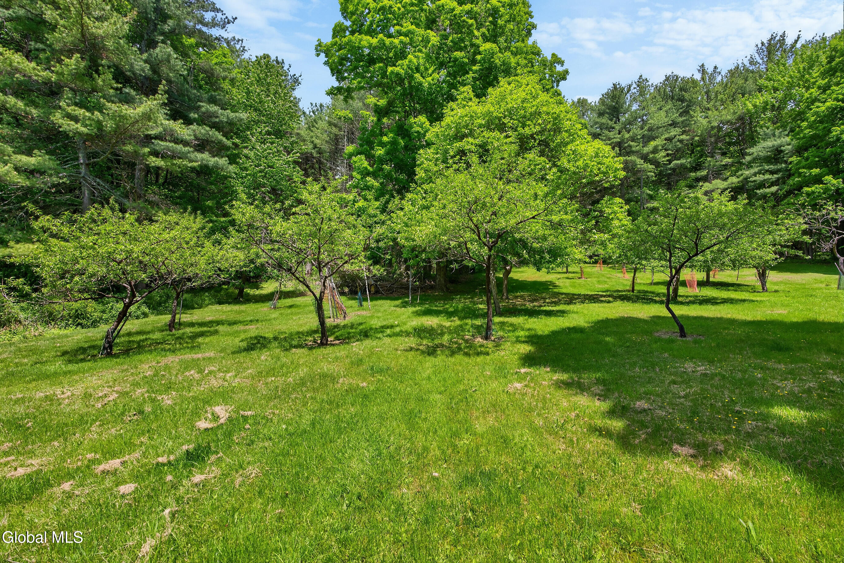 359 Seibert Road Rensselaerville, NY 12120 - Photo 43 of 67 010-359-Seibert-Road-Medusa-NY-12120