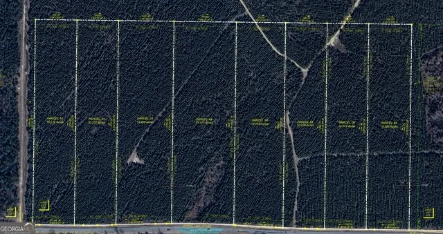 $199,900 | Lot 6 A Whitfield Road, Elko, GA 31025