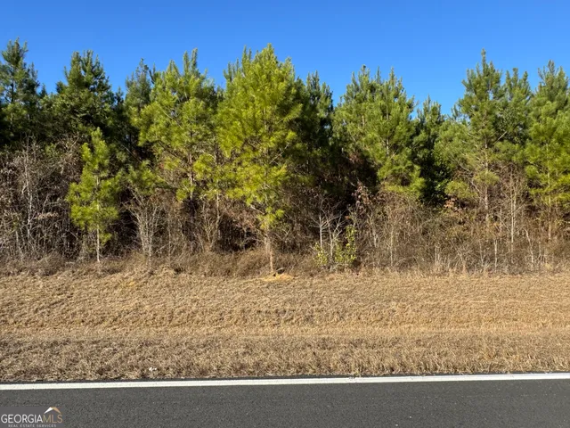 $199,900 | Lot 6 A Whitfield Road, Elko, GA 31025