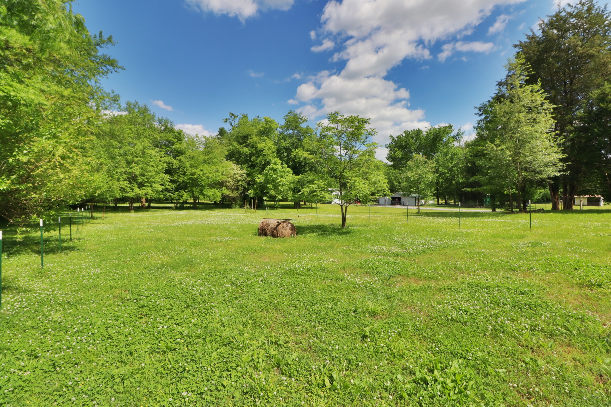 13511 Versailles Road Rockvale, TN 37153 - Photo 15 of 26 Gallery Image 15