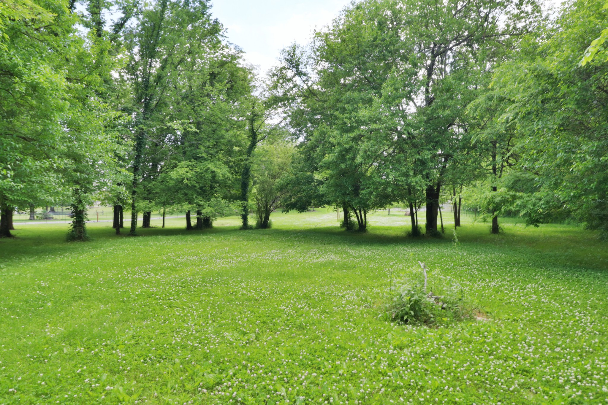 13511 Versailles Road Rockvale, TN 37153 - Photo 18 of 26 Gallery Image 18
