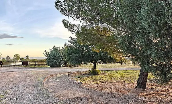 a view of a yard with plants and trees