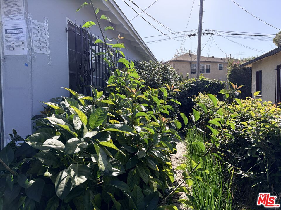 544 Grand Boulevard Venice, CA 90291 - Photo 12 of 17