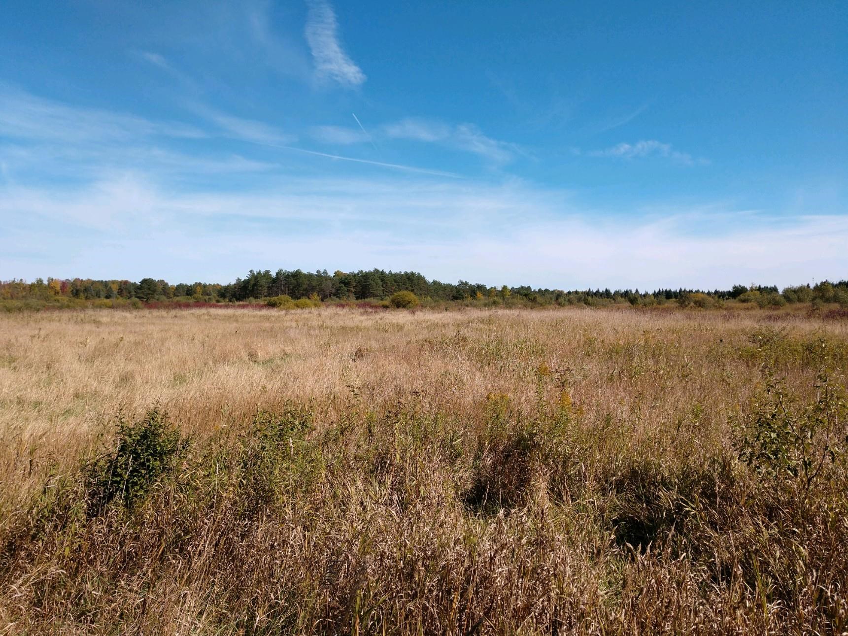 Parcel B Parcel B Putnam Hale, MI 48739 - Photo 1 of 6