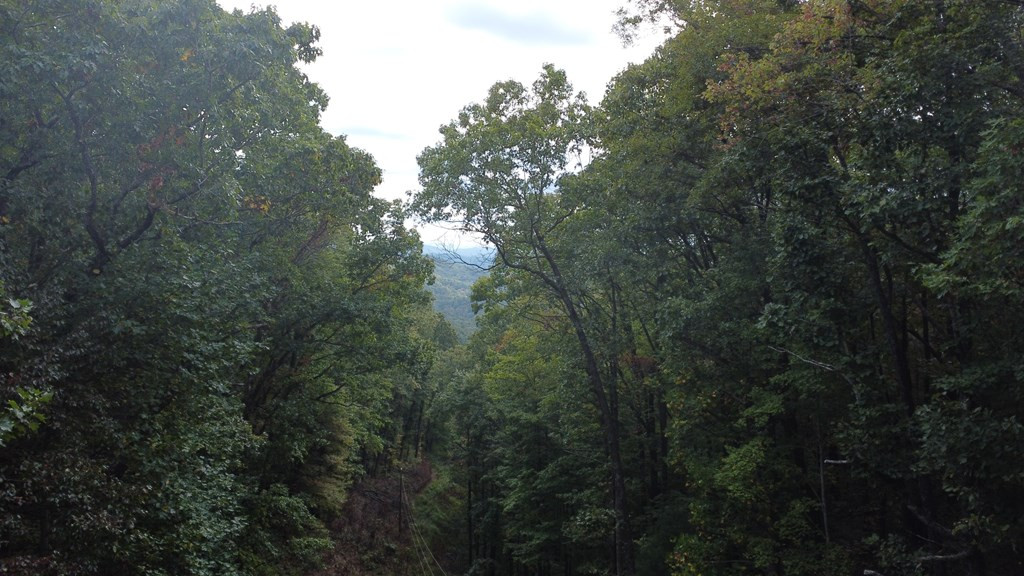 Tbd Burrell Mountain Road Murphy, NC 28906 - Photo 19 of 28