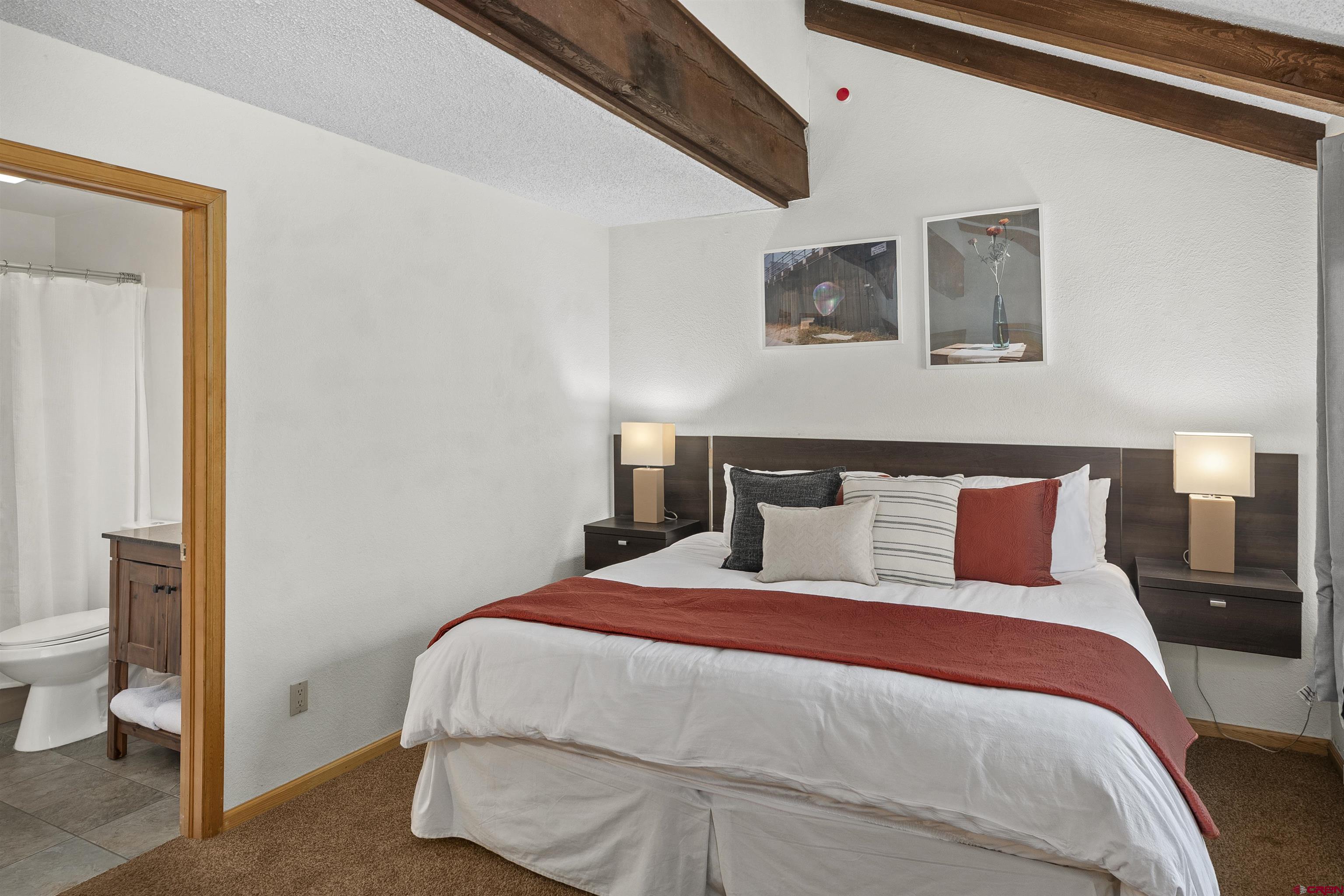 21 Castle Road, Unit 2 Crested Butte, CO 81225 - Photo 17 of 28