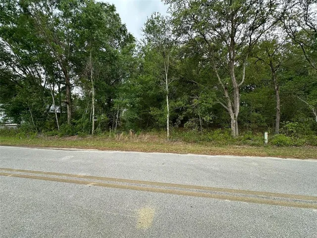 a view of a yard with a large trees