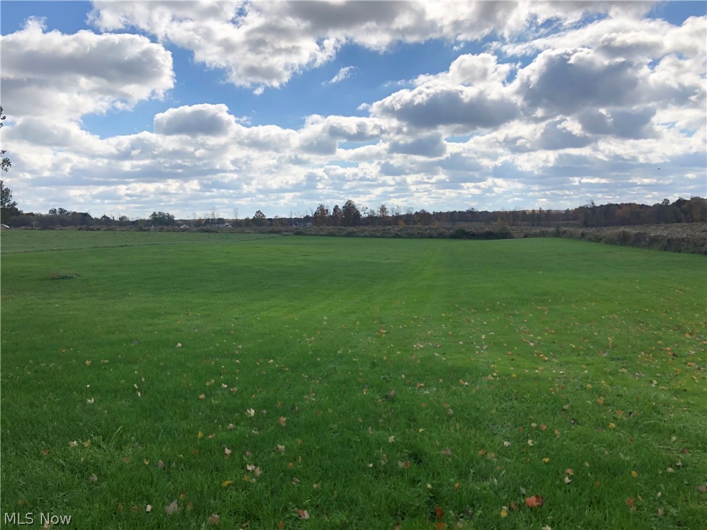 9304 Corbett Road Diamond, OH 44412 - Photo 25 of 25 Back yard view