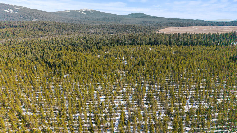 0 Clover Creek Road, Unit 71022 Klamath Falls, OR 97601 - Photo 10 of 15 10 CloverCreekRd600Acres-29