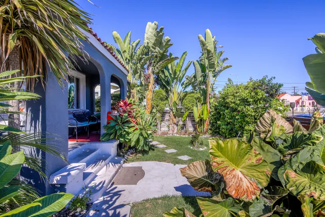 a view of backyard with plants and outdoor seating
