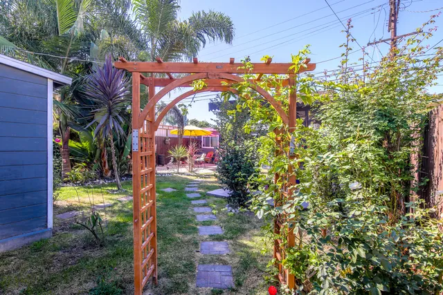 a view of a yard with plants and trees