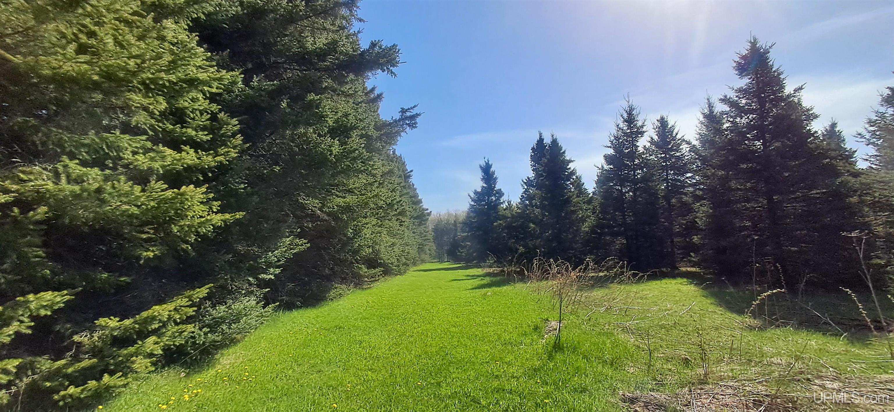 Tbd County H26 Road Rock, MI 49880 - Photo 10 of 20