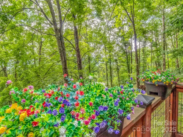 a view of a yard with swimming pool