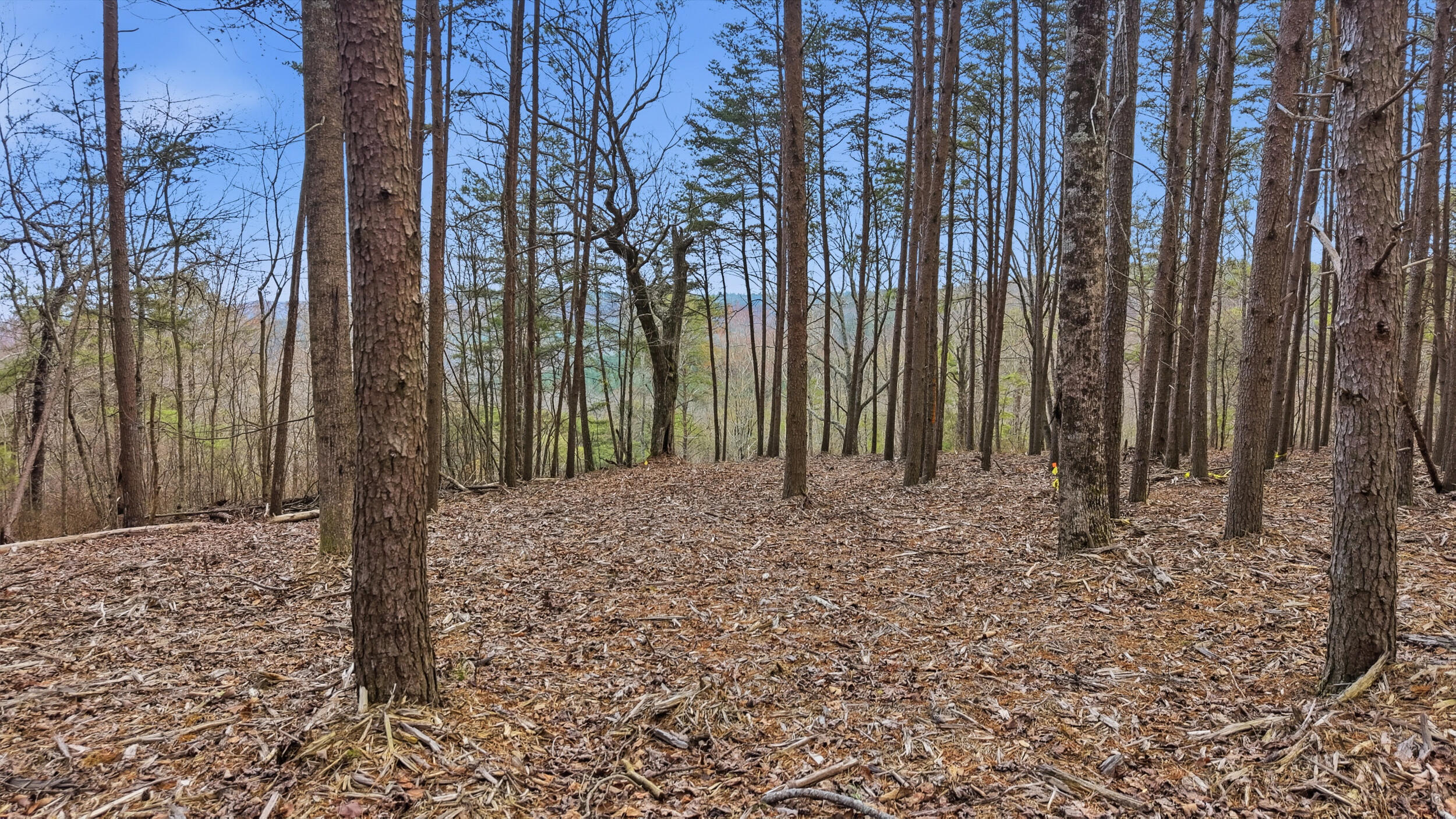 Lot 2154 Fallen Oak Pass Guild, TN 37340 - Photo 13 of 13 12_300 the gorge-12