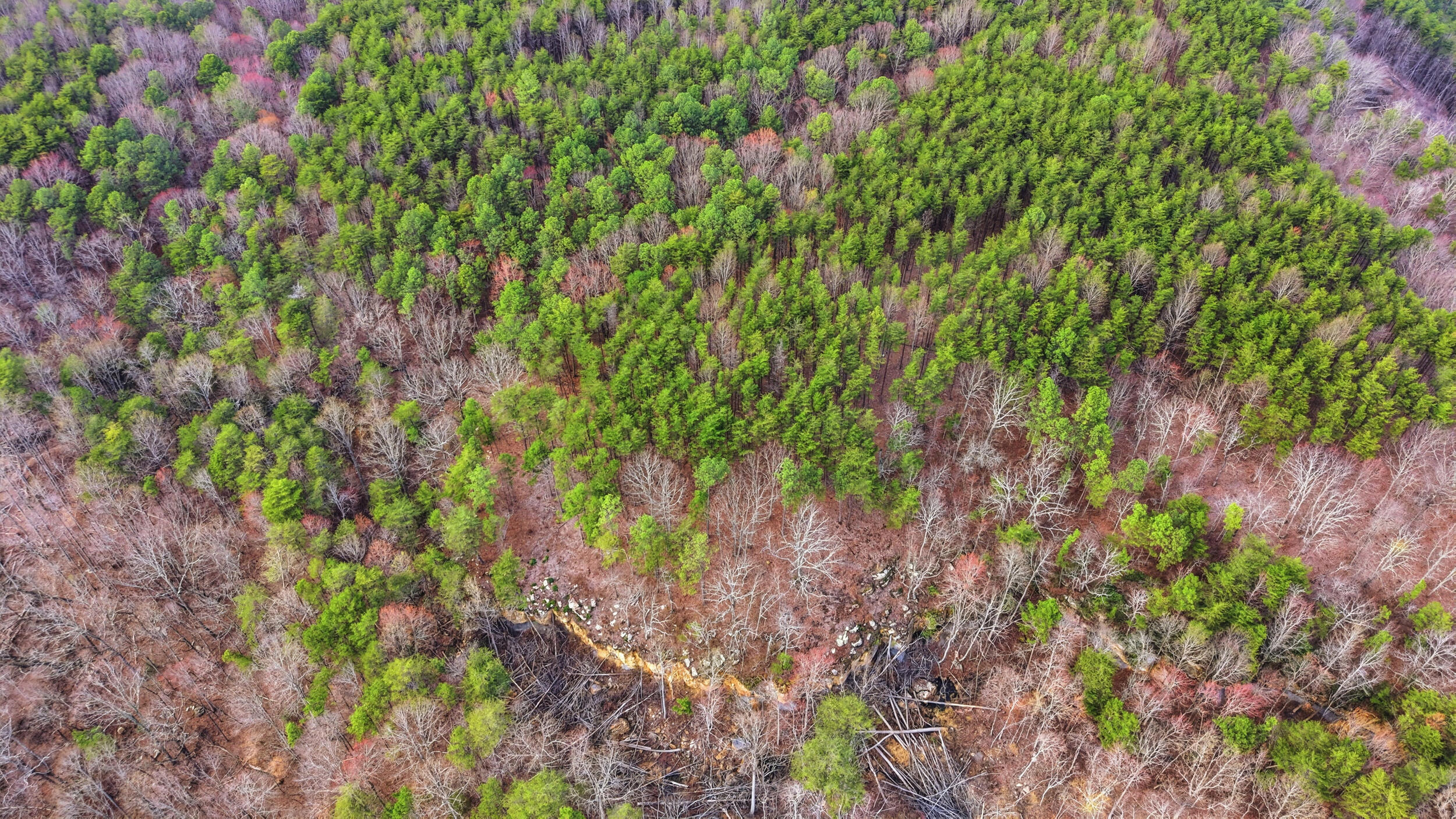 Lot 2154 Fallen Oak Pass Guild, TN 37340 - Photo 10 of 13 6_300 the gorge-6