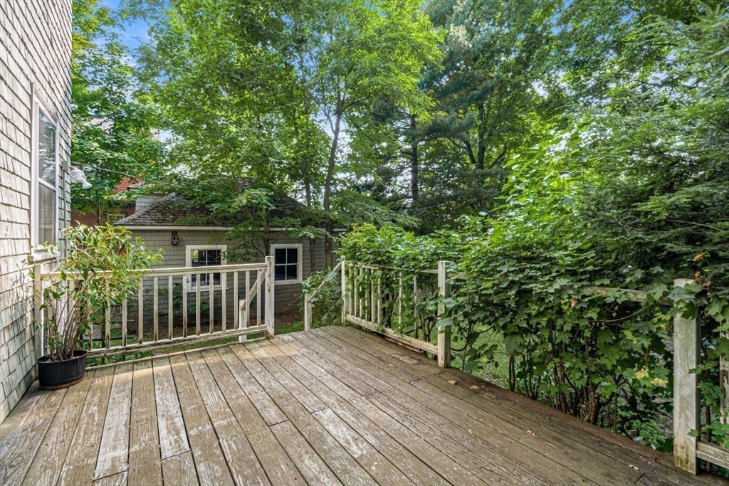 61 Chester Street Newton, MA 02461 - Photo 30 of 42 a view of backyard with green space