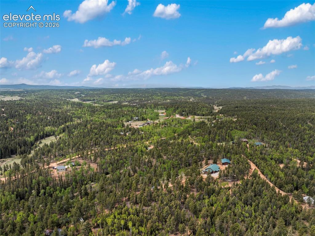 5542 N Road Divide, CO 80814 - Photo 39 of 50
