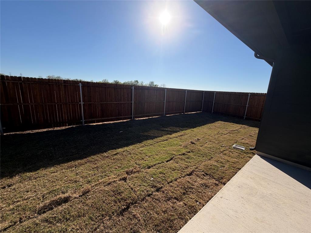 1740 Arches Road Anna, TX 75409 - Photo 6 of 7 a view of a backyard
