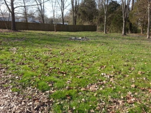 7543 Gibbs Road Corryton, TN 37721 - Photo 3 of 24 a view of a backyard
