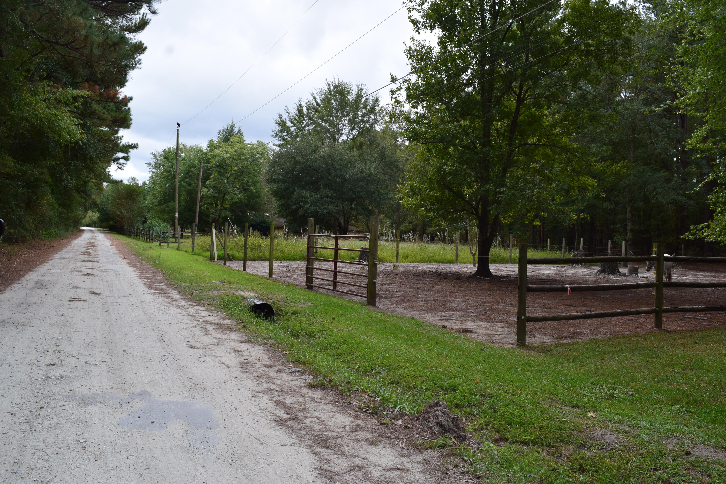140 Rogers Branch Road Ridgeville, SC 29472 - Photo 3 of 41 DSC_0506