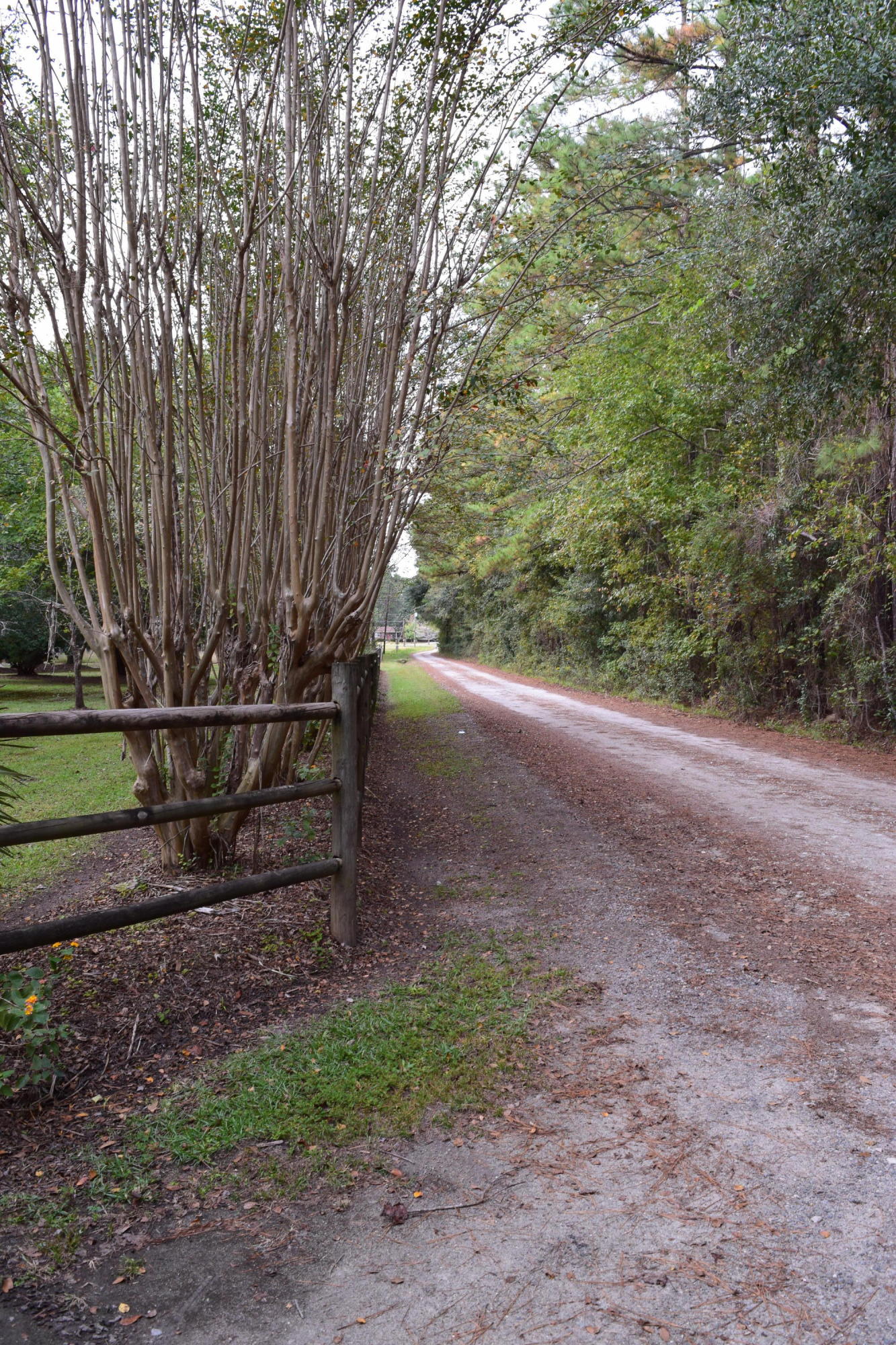 140 Rogers Branch Road Ridgeville, SC 29472 - Photo 33 of 41 DSC_0574