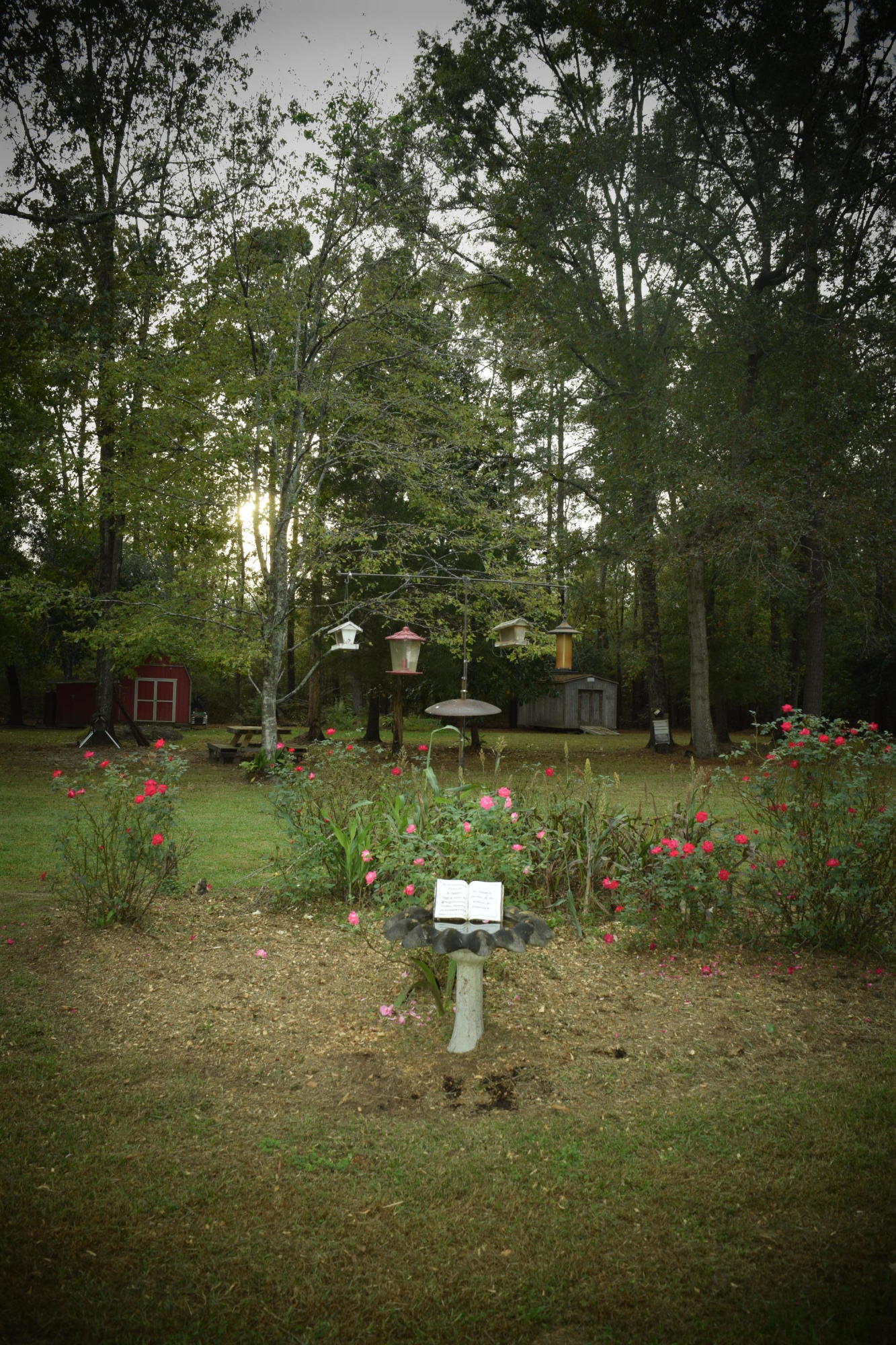 140 Rogers Branch Road Ridgeville, SC 29472 - Photo 36 of 41 DSC_0587
