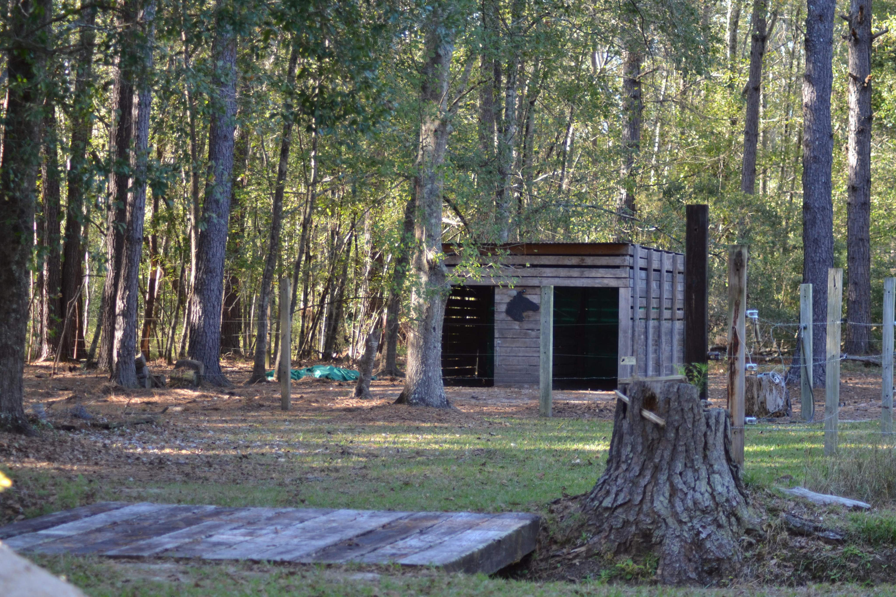 140 Rogers Branch Road Ridgeville, SC 29472 - Photo 39 of 41 9D64CF60-0D2C-49BC-9B9F-51057D7CB366