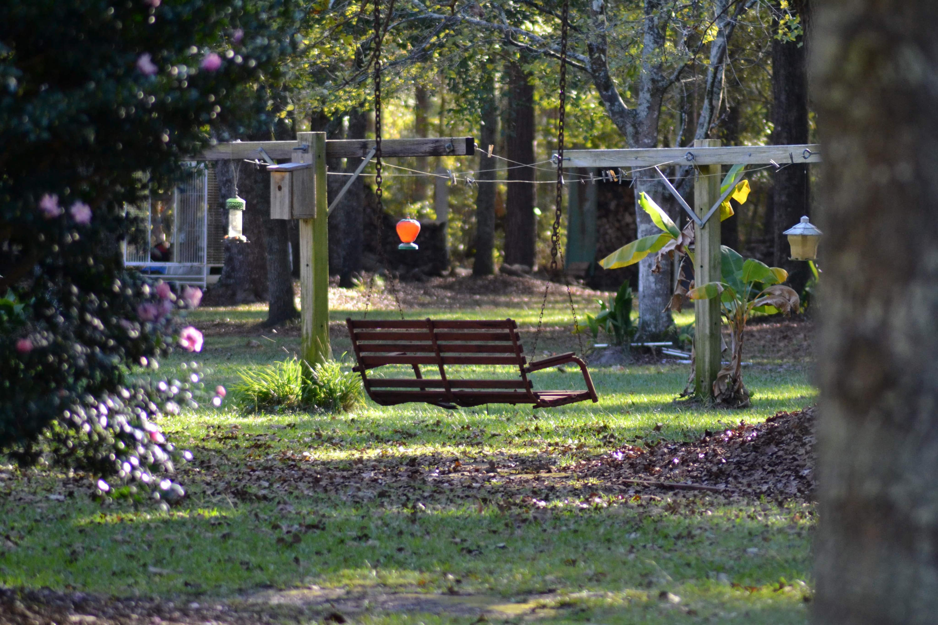 140 Rogers Branch Road Ridgeville, SC 29472 - Photo 40 of 41 88A5EBD4-9B67-4541-9685-257B38CF84C5