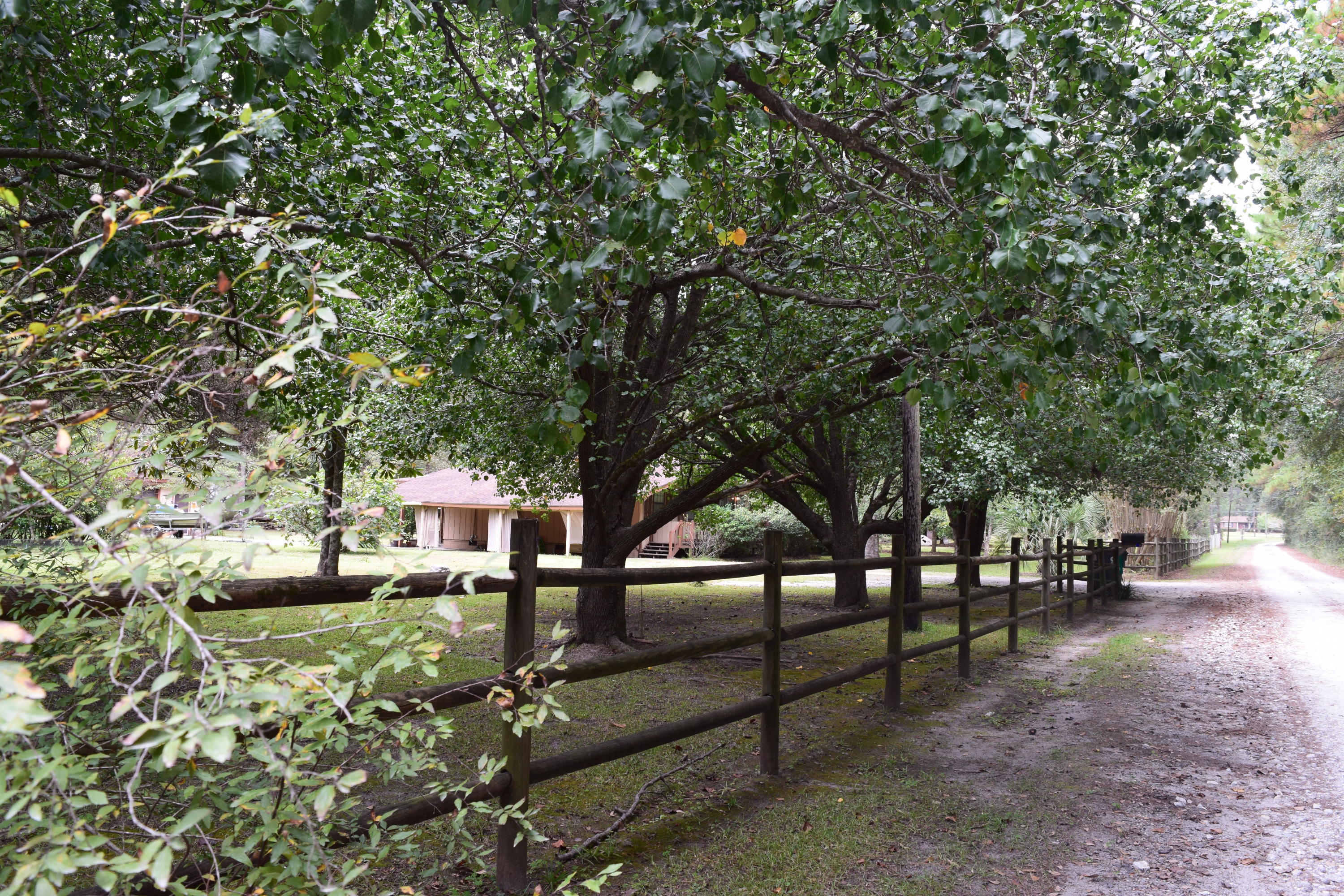140 Rogers Branch Road Ridgeville, SC 29472 - Photo 5 of 41 DSC_0510