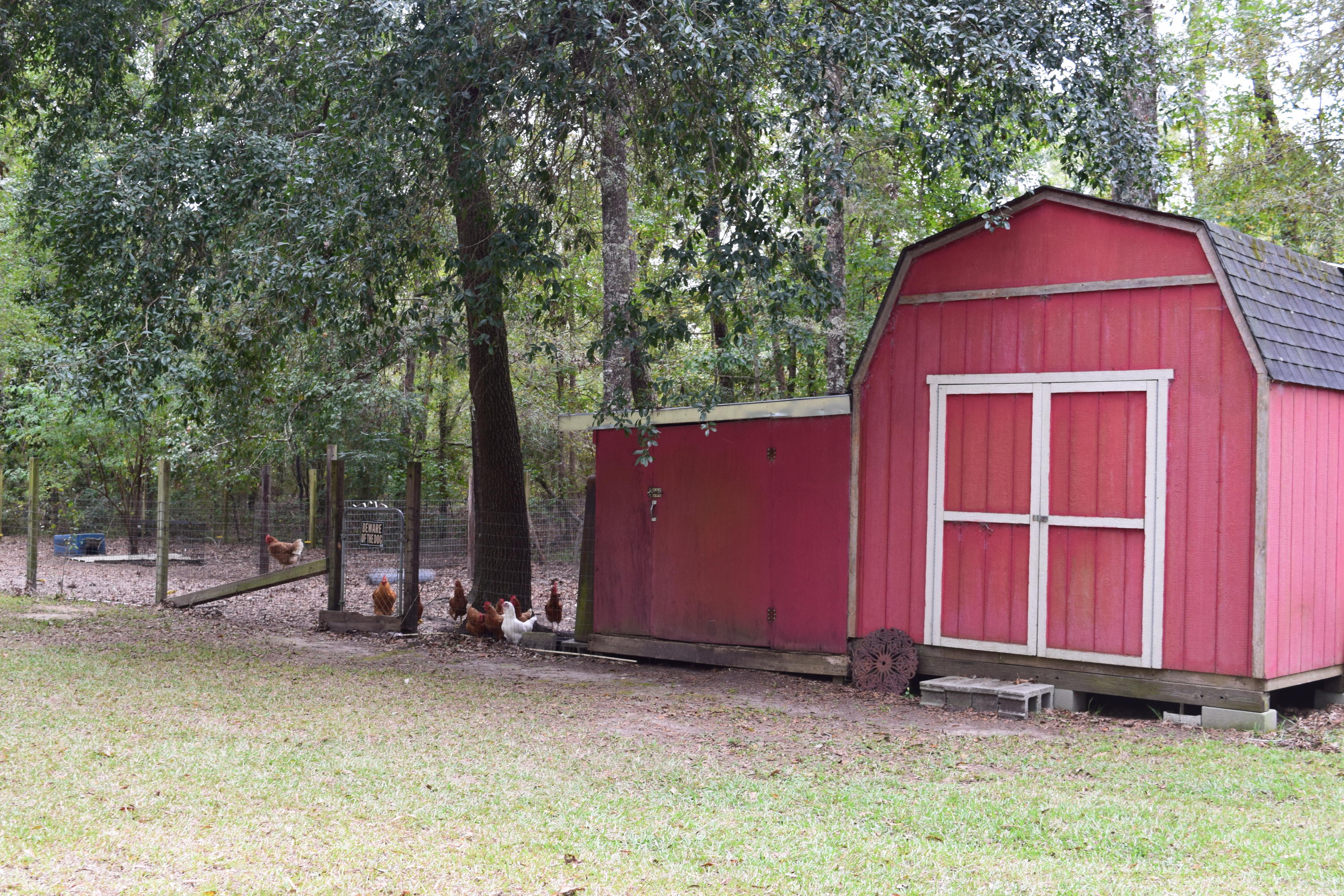 140 Rogers Branch Road Ridgeville, SC 29472 - Photo 7 of 41 DSC_0523