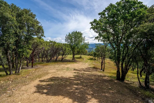 a view of a yard with trees