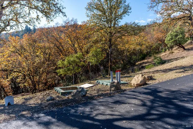 a view of a park with large trees