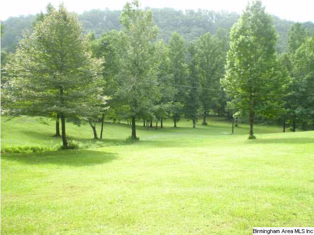 2758 Roulain Road, Unit 1 68 AC Odenville, AL 35120 - Photo 4 of 6