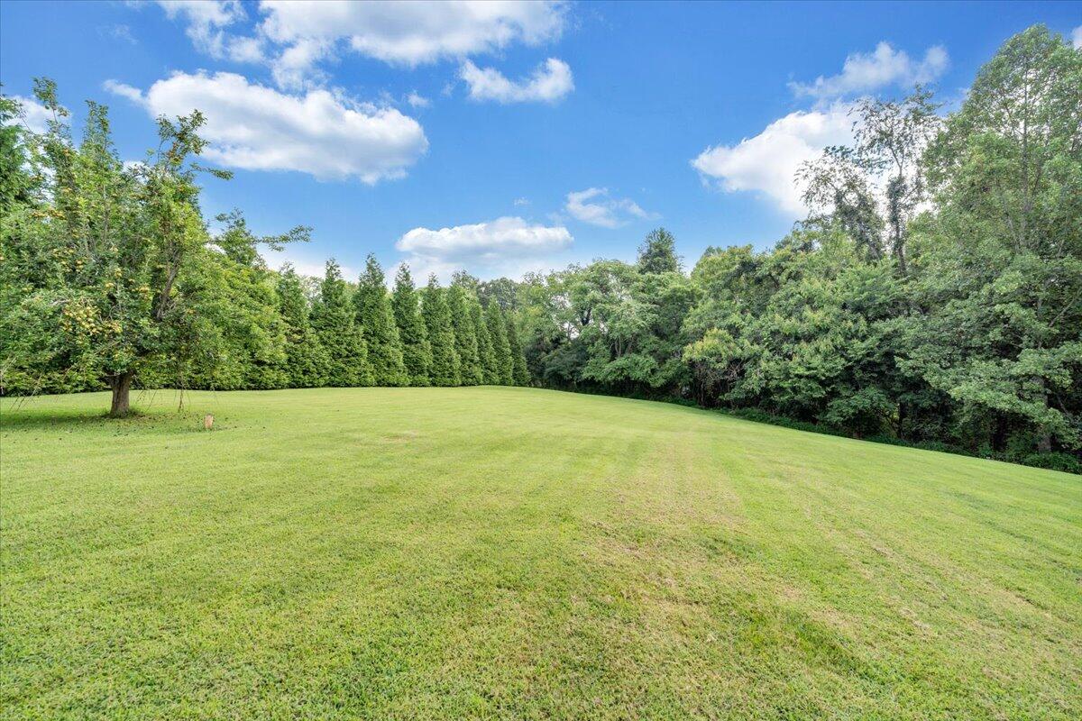164 Tabernacle Road Penhook, VA 24137 - Photo 38 of 58 a view of a field with an trees