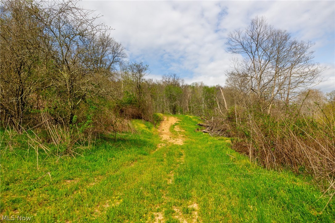 0 Twp Road, Unit 3 Whipple, OH 45788 - Photo 5 of 11
