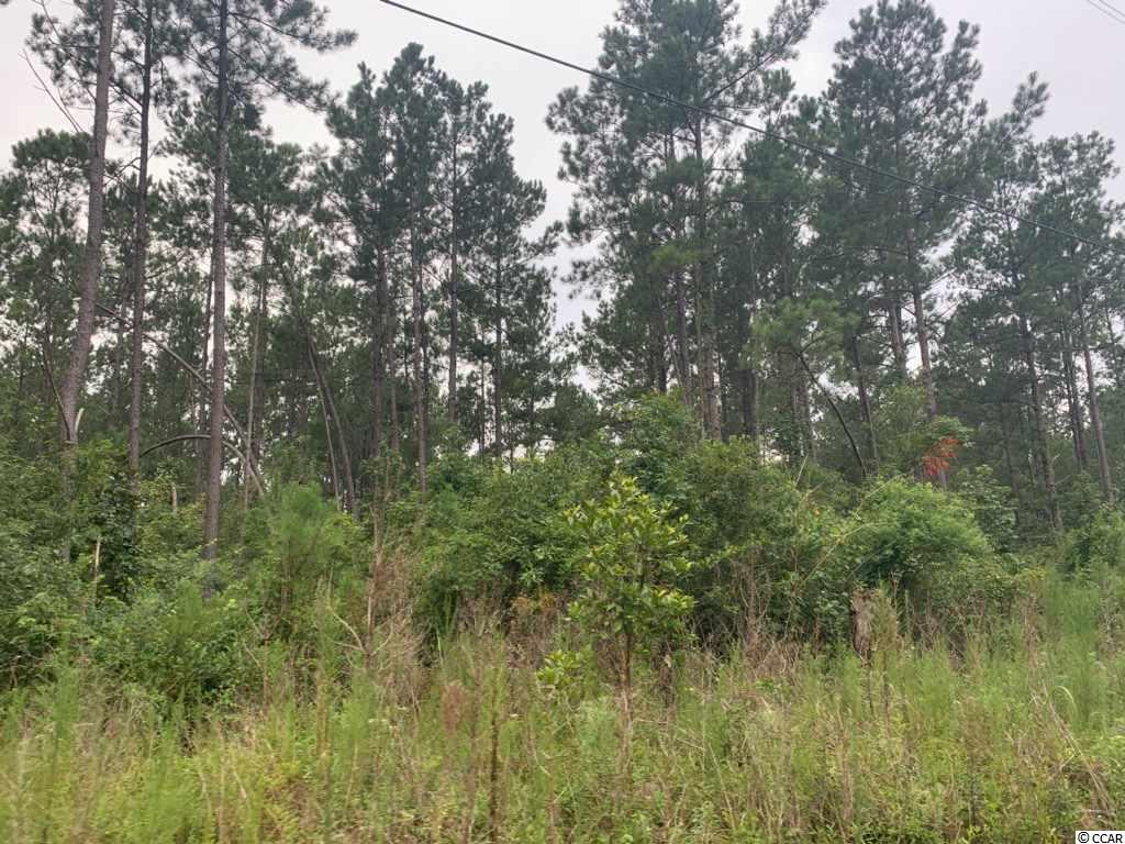 45 Old Cemetery Road Andrews, SC 29510 - Photo 1 of 4