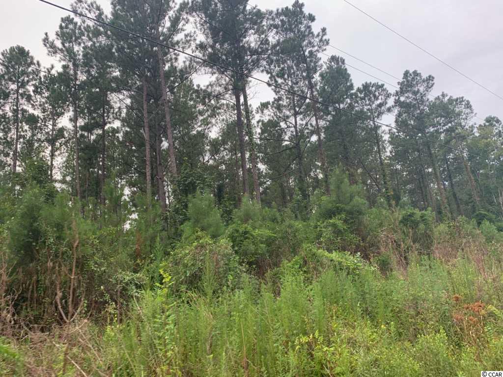 45 Old Cemetery Road Andrews, SC 29510 - Photo 2 of 4