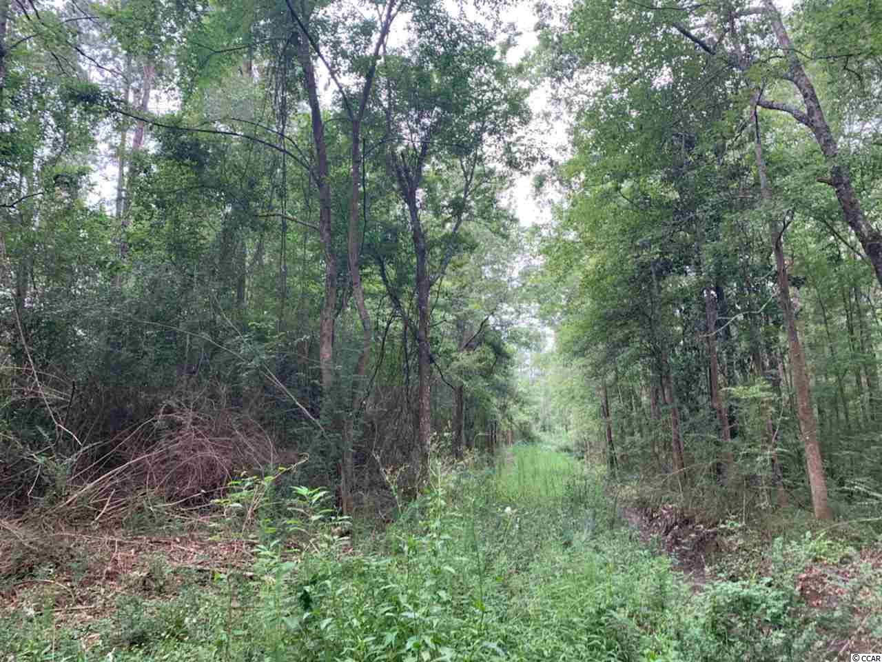 45 Old Cemetery Road Andrews, SC 29510 - Photo 3 of 4